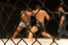 UFC Website Monero Miner