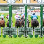 Using The Bitcoin Lightning Network for Decentralised Betting