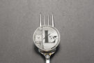 Litecoin Cash Price Rally