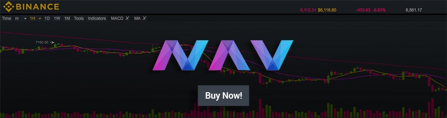 Binance NAV