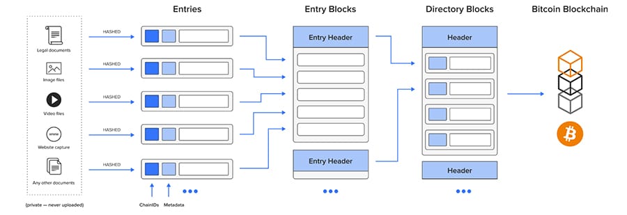 Factom Network