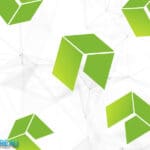 NEO Foundation Mid-Year Financial Report - The Key Points
