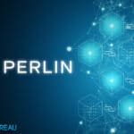 Perlin Review: Leaderless Blockchain, Lightning Fast Transactions