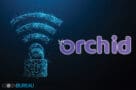 Orchid OXT Review