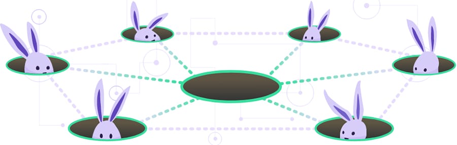 Orchid Network Hops