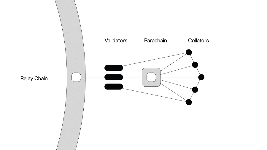 Parachains Polkadot Cryptocurrency