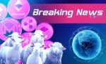 Is Herd Mentality Driving Crypto Markets
