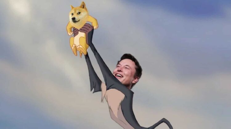 Elon Doge 1