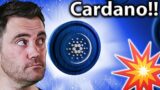 Cardano ADA Potential in 2022