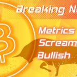 Willy Woo says On-Chain Bitcoin Fundamentals Screaming Bullish