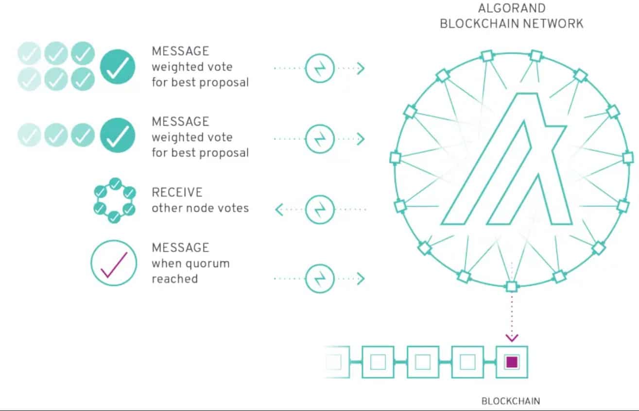 algorand consensus