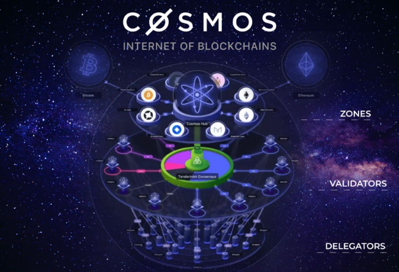 Cosmos