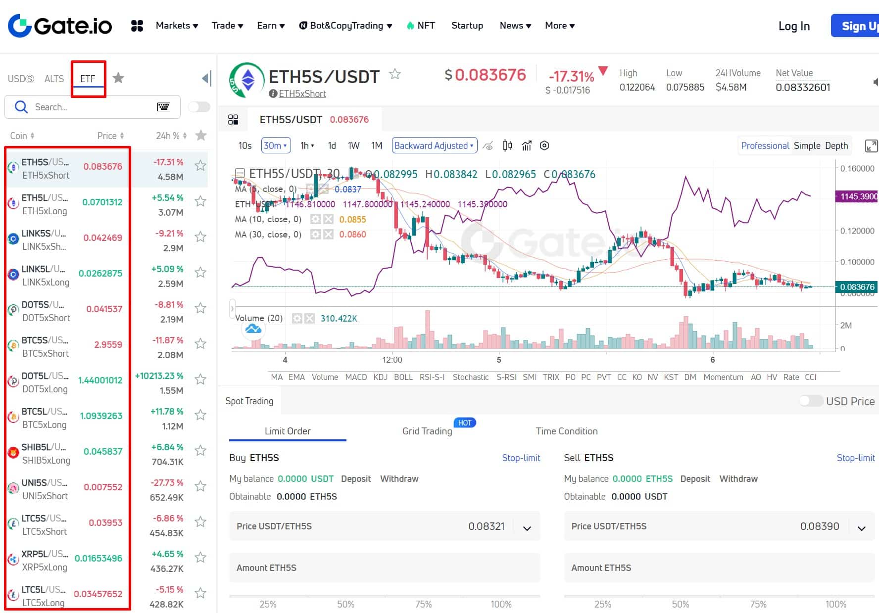 leveraged tokens