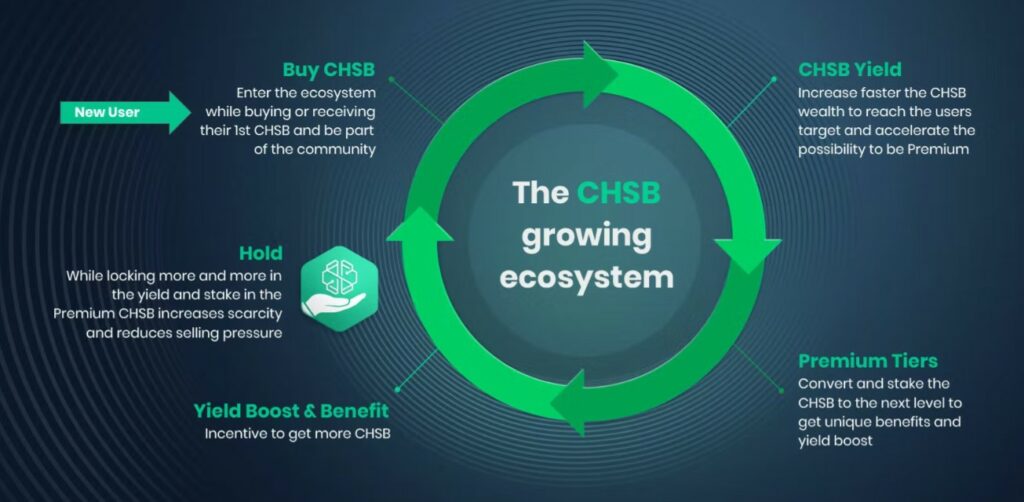 swissborg ecosystem