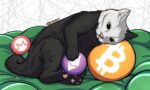 Bisq Review